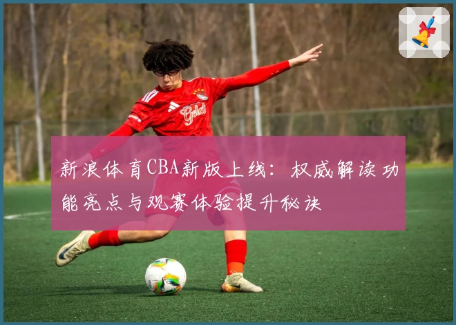 新浪体育CBA新版上线：权威解读功能亮点与观赛体验提升秘诀