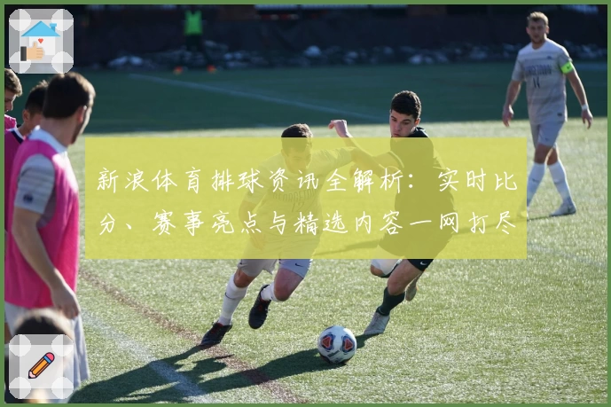 新浪体育排球资讯全解析：实时比分、赛事亮点与精选内容一网打尽