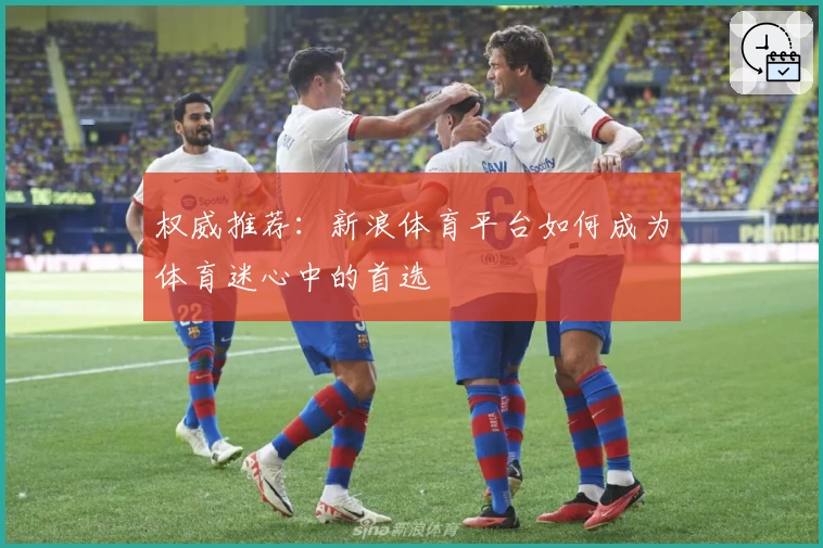 权威推荐：新浪体育平台如何成为体育迷心中的首选