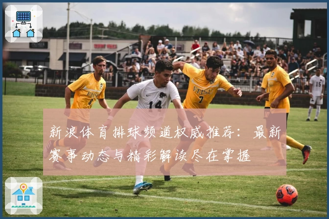 新浪体育排球频道权威推荐：最新赛事动态与精彩解读尽在掌握