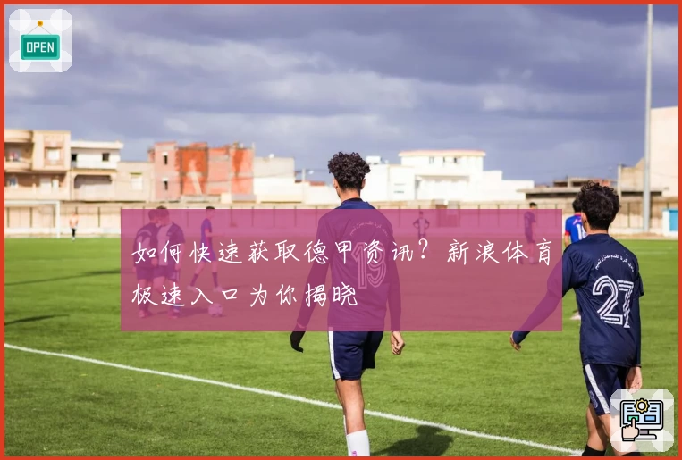 如何快速获取德甲资讯？新浪体育极速入口为你揭晓