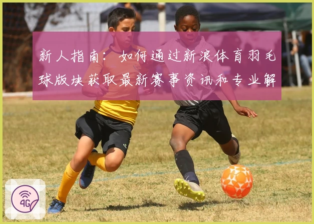 新人指南：如何通过新浪体育羽毛球版块获取最新赛事资讯和专业解读