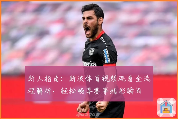 新人指南:新浪体育视频观看全流程解析,轻松畅享赛事精彩瞬间