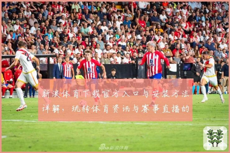 新浪体育下载官方入口与安装方法详解，玩转体育资讯与赛事直播的新体验
