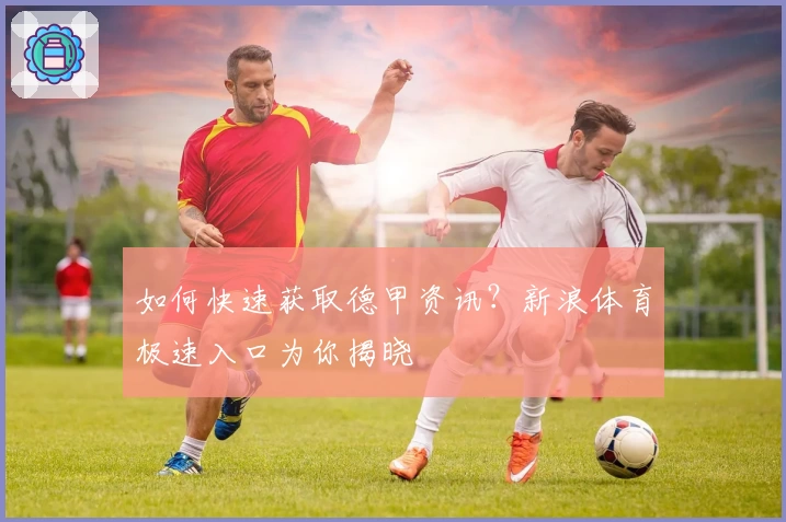 如何快速获取德甲资讯？新浪体育极速入口为你揭晓