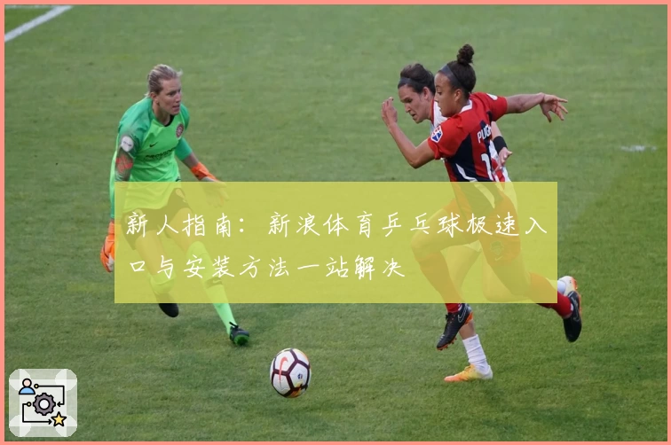新人指南：新浪体育乒乓球极速入口与安装方法一站解决
