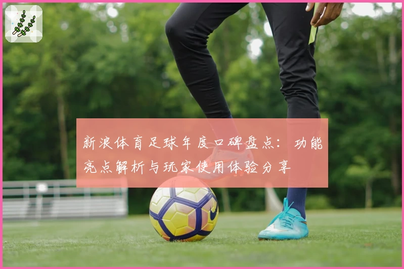 新浪体育足球年度口碑盘点：功能亮点解析与玩家使用体验分享