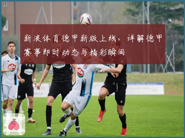 新浪体育德甲新版上线，详解德甲赛事即时动态与精彩瞬间