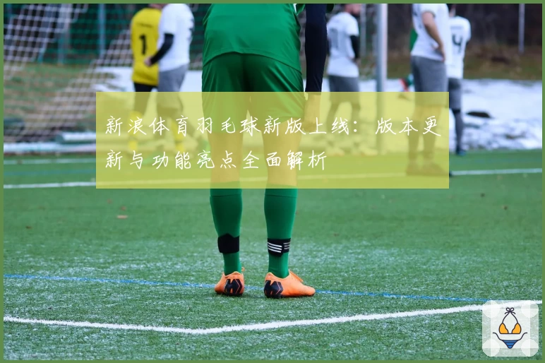 新浪体育羽毛球新版上线:版本更新与功能亮点全面解析
