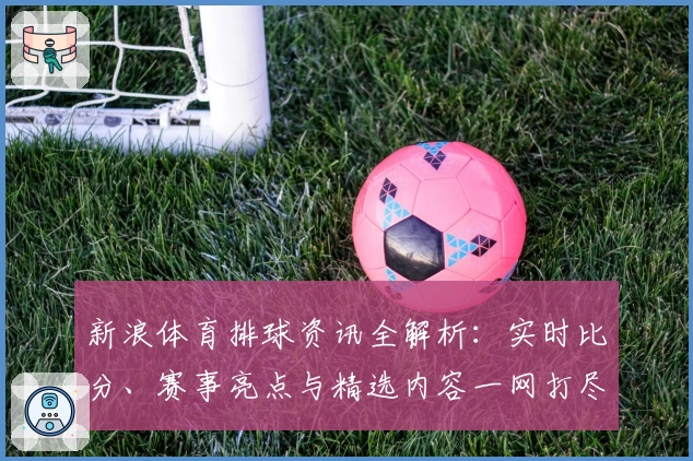 新浪体育排球资讯全解析：实时比分、赛事亮点与精选内容一网打尽