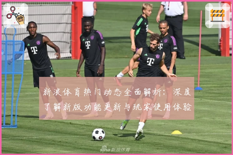 新浪体育热门动态全面解析：深度了解新版功能更新与玩家使用体验反馈
