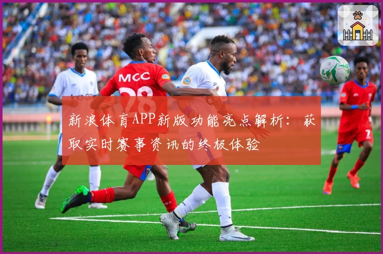 新浪体育APP新版功能亮点解析：获取实时赛事资讯的终极体验