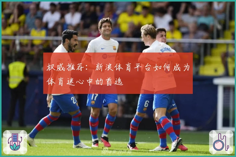 权威推荐：新浪体育平台如何成为体育迷心中的首选