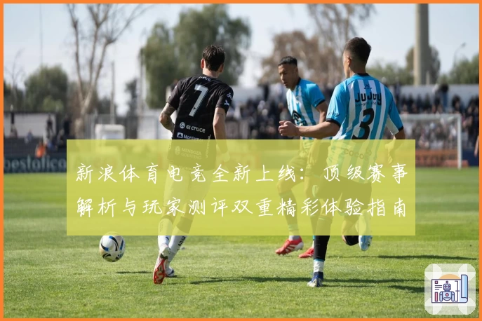 新浪体育电竞全新上线:顶级赛事解析与玩家测评双重精彩体验指南