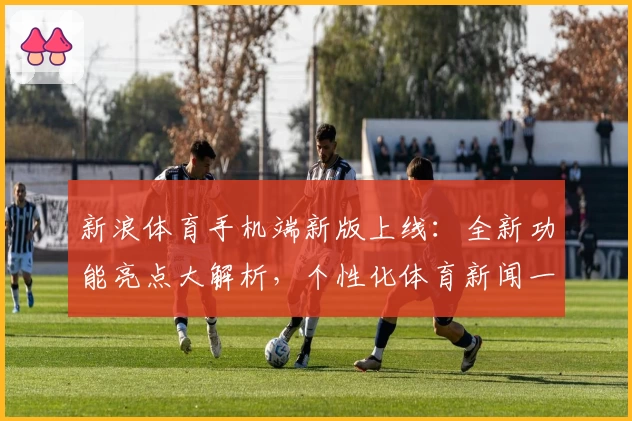 新浪体育手机端新版上线：全新功能亮点大解析，个性化体育新闻一键畅享