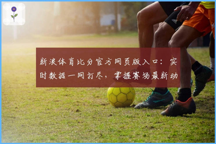 新浪体育比分官方网页版入口：实时数据一网打尽，掌握赛场最新动态