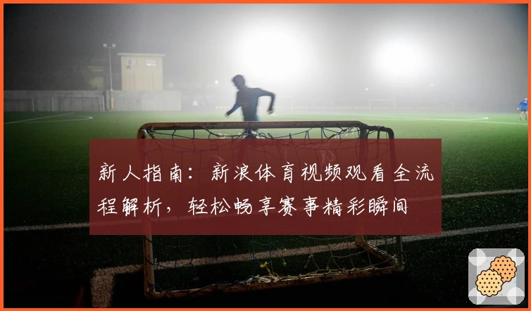 新人指南：新浪体育视频观看全流程解析，轻松畅享赛事精彩瞬间
